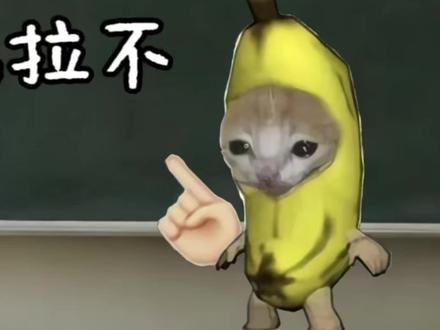 比比拉布 我的刀盾 #猫meme #抽象