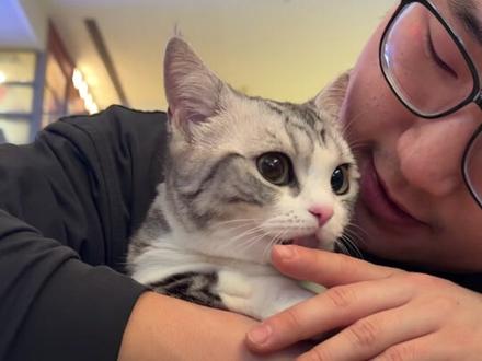 失去6只猫后,我决定彻底搞懂猫瘟(全网最细) 坦克爸研究了整整1周
连拍带剪熬穿了3个晚上后
终于做出了这条猫瘟科普视频
希望能帮到每一位有需要的人……#万物可爱计划 #猫瘟 #我镜头下的小猫 #科学养宠攻略