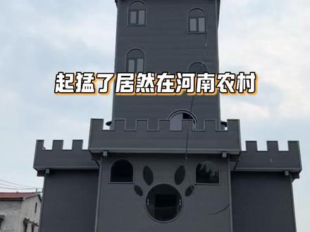 在河南农村建造了灰太狼的狼堡 #灰太狼 #农村 #狼堡 #建筑
