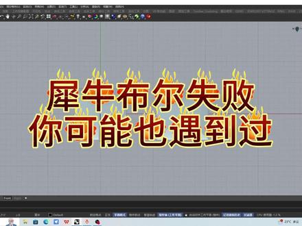 犀牛布尔失败的一种情况