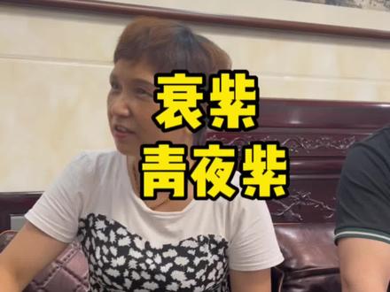 衰紫,青夜紫,父母的话有没骂醒泽云#潮汕话十级挑战 #潮汕老房子@赏美小剧场(招女主) @潮汕老房子泽云