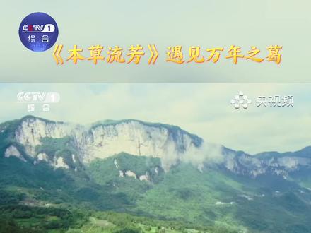 #本草流芳 遇见万年之葛,葛既能开胃下食,也能解酒护肝。#中国劲酒 以科学提取技术,最大化提取葛根精华,助力葛根健康应用。