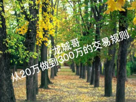 从20万做到300万的大佬分享的交易规则