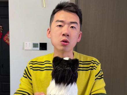 边牧的七白三通是一个老生常谈的问题 今天把边牧的七白三通和花色放在一块聊一聊#边牧#边境牧羊犬 #七白三通 #边牧朵朵和无双 #向文龙的边牧知识科普
