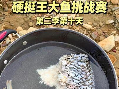 第十天,捡了一条臭鱼 #刷锅传媒 #抖音荒野垂钓季 #擒龙诀硬挺王大鱼挑战赛第二季 #龙王恨罗非王