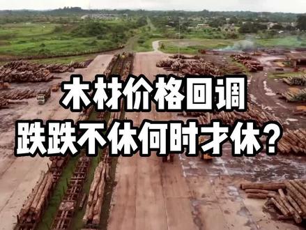 木材价格大规模回调,跌跌不休何时才休?#木材