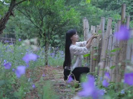 被"捧杀"的李子柒 #李子柒