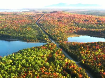 张学友《吻别》完整无损版 #吻别#张学友#音乐#音乐分享#一起看风景