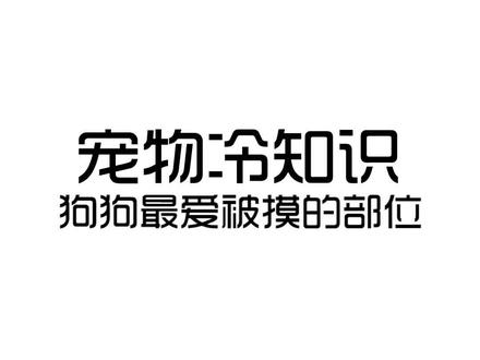 #萌宠出道计划 #萌宠 #狗狗 你家狗狗最爱被摸哪个部位呢?