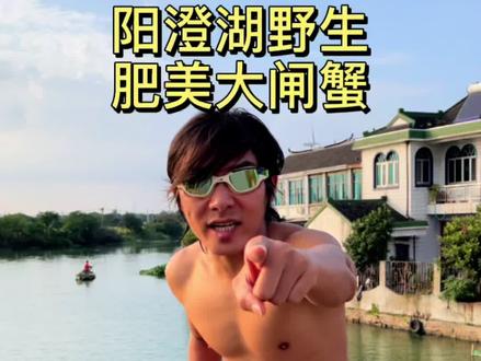 #阳澄湖大闸蟹 #螃蟹 #大闸蟹 捕捉一只野生肥美阳澄湖大闸蟹🦀️