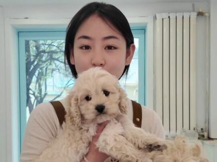 别找了,可卡布多少钱一只?!直接参考#可卡布