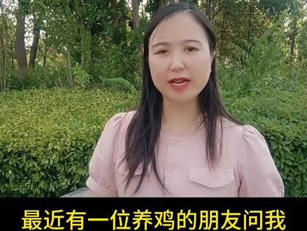 鸡下蛋小怎么回事?#养鸡 #养殖 #养鸡人 #家禽养殖 #科学养鸡