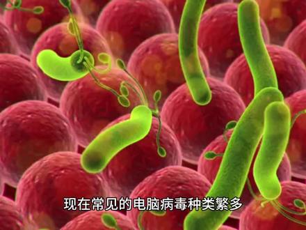 网络安全维修之-电脑病毒#网络安全 #电脑病毒