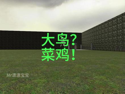 根本不怕鸟好吧 #盖瑞模组 #nextbot追逐