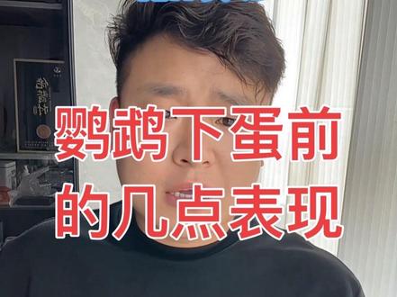 你家鹦鹉下蛋了吗?#鹦鹉下蛋#鹦鹉繁殖,#鹦鹉百科