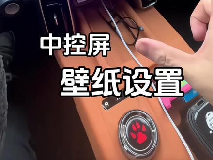 哈弗大狗中控屏壁纸设置教程来了!#热门 #每天一个用车知识 #哈弗大狗 #汽车用品 #车载好物