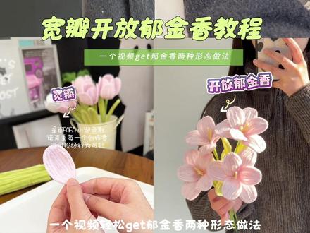 一个视频学会扭扭棒宽瓣郁金香开放与花苞的两种做法(宽瓣开放郁金香教程)#扭扭棒 #手工 #郁金香 #教程 #扭扭棒手工
