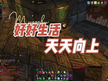 魔兽世界怀旧服:祖阿曼全BOSS超详攻略,学废了四箱子稳拿! #魔兽世界祖阿曼攻略 #魔兽世界阿曼尼战熊