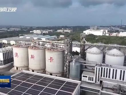 奋力谱写中国式现代化海南篇章 I 儋州洋浦一体化发展三年成效显著 打造海南自贸港“样板间”