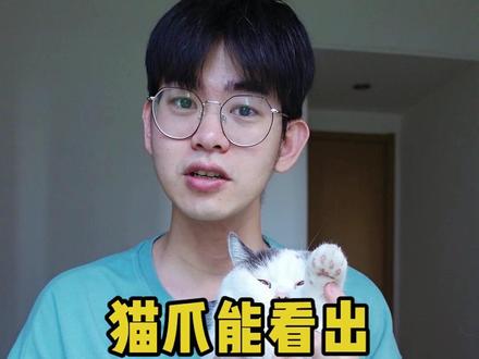 看猫爪上的肉垫,能看出猫的性格,你信吗#猫知识 #喵星人 #重返22