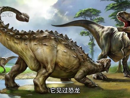 鳗鱼的繁殖困扰了人类两千年,而真相却让人大跌眼镜 #科普 #科普一下 #鳗鱼 #知识