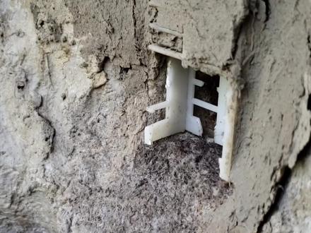 蜂王为什么不能关五天 #我的乡村生活 #蜜蜂 #蜂王 #囚王笼