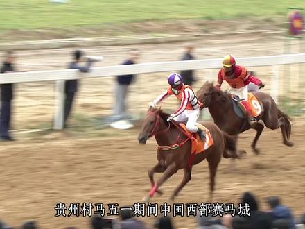贵州村马 2026年“车马炮(跑)
三驰三都”五一系列活动于5月1日至5日在三都精彩启幕
#贵州村马 #我在三都看村马 #贵州三都