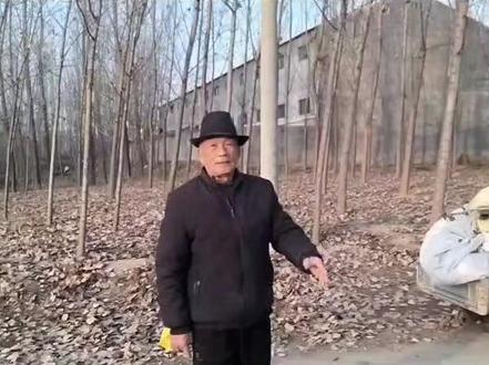 收集制作草木灰 怎样收集制作草木灰#草木灰