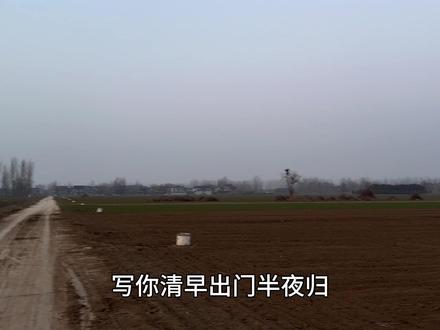 我该怎么写你呢 写你清早出门半夜归 茫茫人海我是谁 碎银几两苦中求 忙忙碌碌几时休 空有人间自由身 却非人间自由人 一生如牛不得闲 得闲已与山共眠 还是写你春夏秋冬为钱愁 东南西北四处游 尝尽人间万般苦 只为人前不低头 浪子身无分文 也敢远走四方 游子空着行囊 却不敢回到家乡#治愈系风景 #情感共鸣 #人生感悟