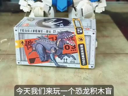 血肉消散,骨架永存🦖
侏罗纪世界第三弹 暴虐霸王龙化石积木
还原电影深海残骸设定,摆在家里氛围感拉满
恐龙迷的小众收藏好物#恐龙盲盒 #布鲁可侏罗纪世界 #恐龙玩具 #儿童玩具 #暴虐霸王龙
