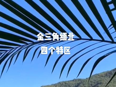 关注我带你了解缅北的4个特区,评论+点赞,老铁经常看。