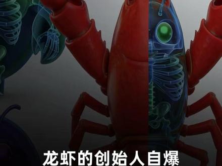 OpenClaw生态谁在吸金,一口气看完126个套壳项目,哪些已经开始盈利?龙虾的作者自嘲:难道只有我在赔钱嘛 #AI #openclaw #大模型 #黑科技