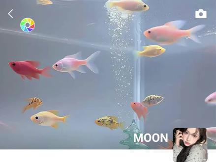 我在星野当括号大神#星野#聊天记录#搞笑#讯飞输入法 #讯飞输入法