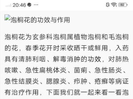 桐树花的功效与作用,居然不知道这个能吃😱还有什么不能吃的啊