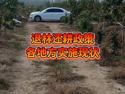 退林还耕政策及各地方实施现状