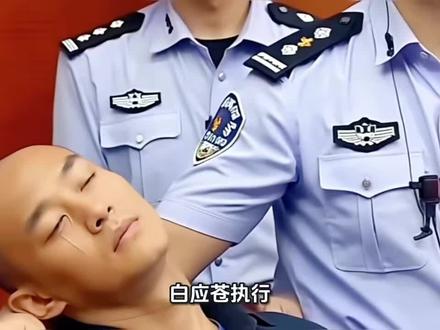 白应苍执行前后细节及法院和检查院要做哪些善后工作?