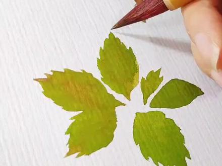 #绘画#水彩 手绘 五叶爬山虎