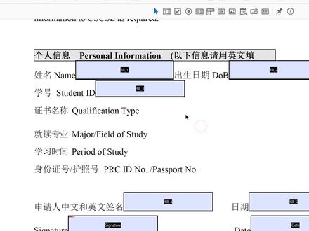 PDF之自动表单生成与填写 #初学 #PDF #表单制作 #上海一寸