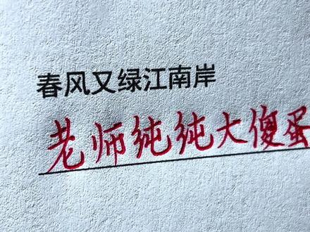 春风又绿江南岸,老师纯纯大傻蛋