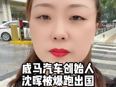 威马汽车创始人沈晖被曝跑出国#威马汽车创始人 #株洲 #株洲车抵 #上热门