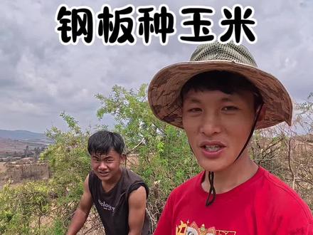 开始招老品种婆娘了噶#闹闹跳跳钢板