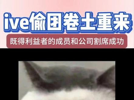 ive偷团再次卷土重来 益者的成员和公司割席成功