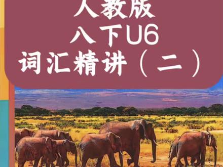 人教版八下U6词汇精讲(二)
#英语学习知识点整理 #济南同城#词汇精讲#济南中考#人教版八下教材