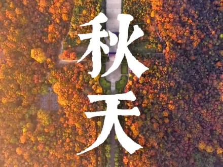 秋天的紫金山最值得去的8个地方#一起来拍秋天 #南京 #治愈系风景 #打卡南京