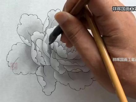工笔墨红色牡丹画法第1课,统染分染技法演示全解析,新手入门基础教程#抖音合集升级计划 #画画 #国画 #工笔画 #一起学画画