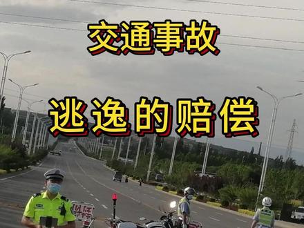 发生交通事故逃逸驾驶员的赔偿