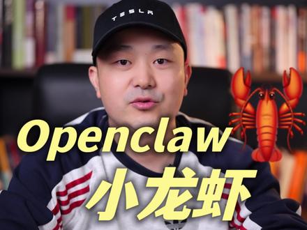 你开始养小龙虾了吗?#openclaw #AI #小龙虾ai #养龙虾