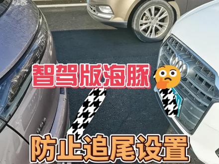 智驾版海豚必调!超重要防撞设置,直接拉满行车安全性#比亚迪海豚 #比亚迪海豚车主 #比亚迪汽车 #用车知识 #比亚迪安全性能