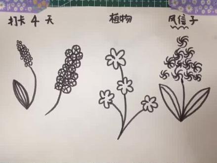 绘画打卡第四天#风信子#学画画#简笔画#画画#画画教程 #上热门