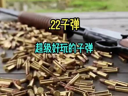 #.22子弹 超级好玩的子弹"武器科普 "#军事科普